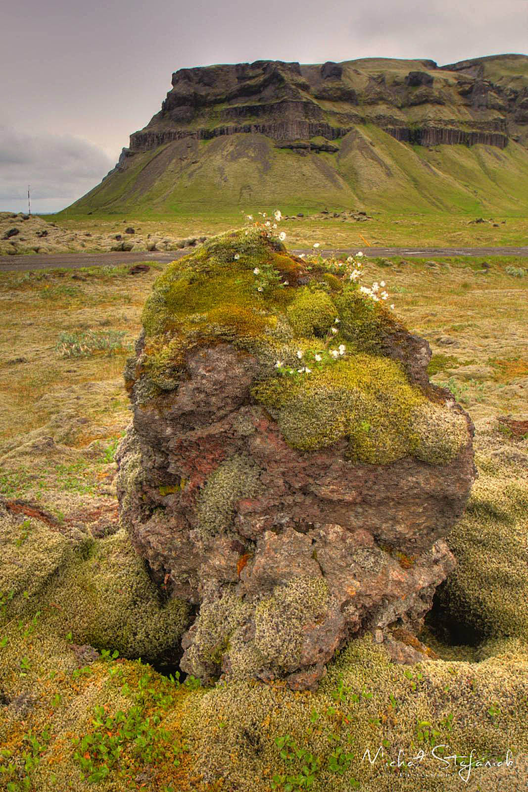 454 IMG 4081 2 3Enhancer